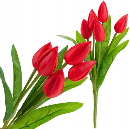 Martom Cv26806 5 Tulipan Bukiet Tulipanów Czerwony Piękny Jak Żywy