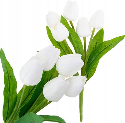 Martom Cv26805 2 Tulipan Bukiet Tulipanów Biały Piękny Jak Żywy
