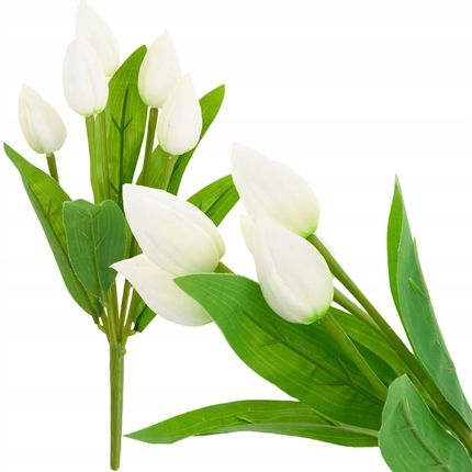 Martom Cv26806 1 Tulipan Bukiet Tulipanów Biały Piękny Jak Żywy
