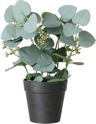 Boltze Home Sztuczna Roślina Sage Eukaliptus W Doniczce 30 Cm
