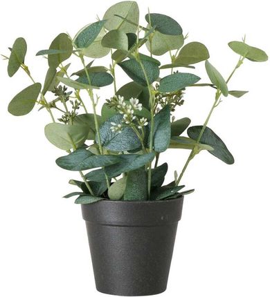 Boltze Home Sztuczna Roślina Sage Eukaliptus W Doniczce 30 Cm