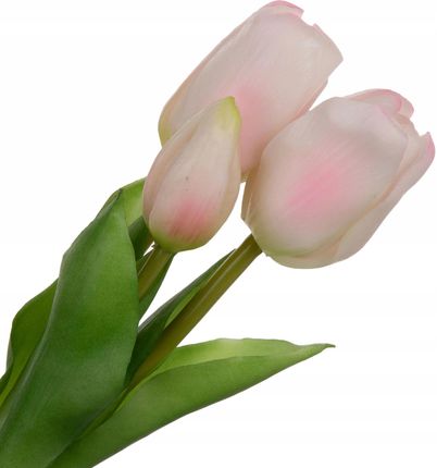 Tg Tulipany Bukiet Tulipanów Gumowe Sylikonowe Biało Różowe