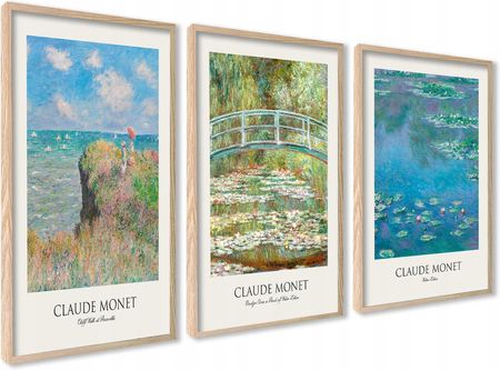 Plakaty Obrazy Claude Monet Łąka Lilie Klif Pejzaż