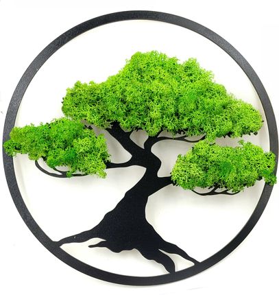 Żywy Obraz Drzewko Szczęścia Życia Mech Bonsai
