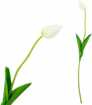 Martom Cv26799 1 Tulipan Sztuczny Gumowany Biały Piękny Jak Żywy