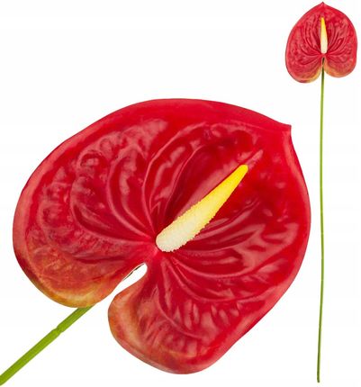Cv15803 5 Anturium Gumowe Czerwone 60 Cm Kwiaty Sztuczne