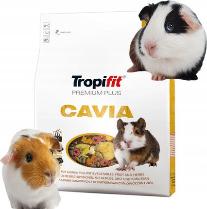 Tropifit Cavia 1,75Kg Pokarm Dla Świnki Morskiej 50525