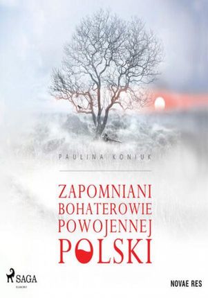 Zapomniani bohaterowie powojennej Polski (Audiobook)