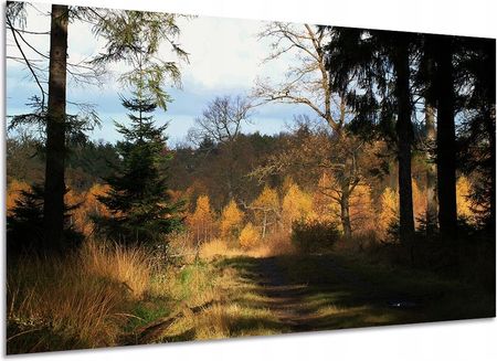 Aleobrazy Obraz Las 8 Kolory Jesieni Do Salanu 120x80