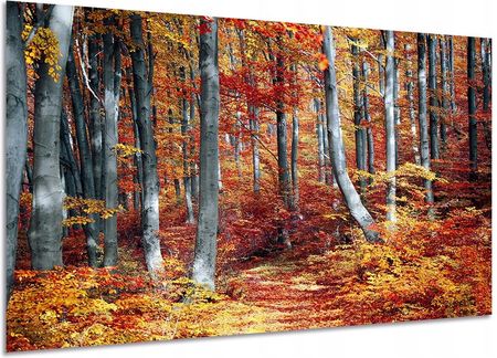 Aleobrazy Obraz Las 9 Kolory Jesieni Szary Do Salanu 120x80