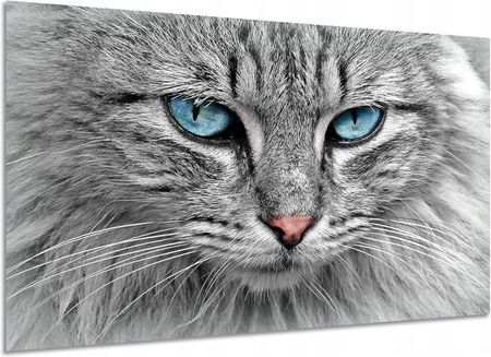 Aleobrazy Obraz Nowoczesny Kot 7 Zwierzęta Domowe 120x80