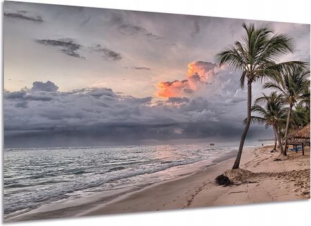 Aleobrazy Obraz Widok 75 Palmy Plaża Wakacje Wakacjny 120x80
