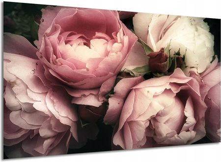 Aleobrazy Obraz Na Płótnie Piwonie I Róże Do Salonu 120x80