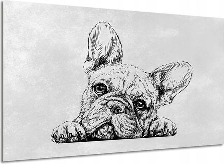 Aleobrazy Obraz Na Płótnie Pies 9 Buldog Francuski 120x80