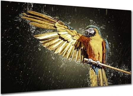 Aleobrazy Obraz Do Salonu Papuga 120x80cm Zwierzęta Ptak