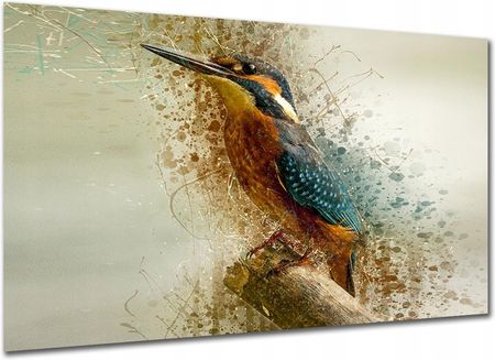 Aleobrazy Obraz Do Salonu Ptak 3A 120x80cm Zwierzęta Koliber