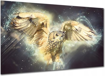 Aleobrazy Obraz Do Sypialni Sowa 1 120x80cm Ptak Canvas