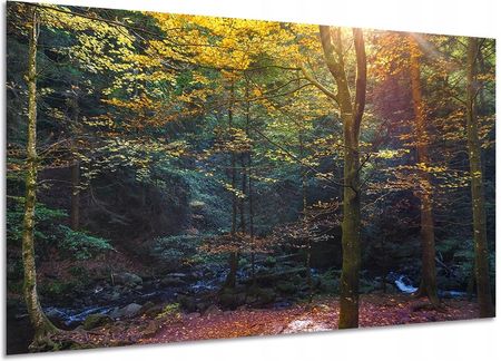 Aleobrazy Obraz Las 6 Pejzaż 120x80cm Jesienny Rzeka Strumyk
