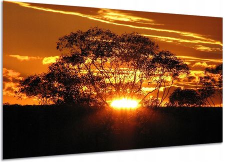 Aleobrazy Obraz Duży Widok 55 120x80 Drzewo Wschód Słońca