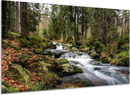 Aleobrazy Obraz Widok 67 Wodospad120x80 Górska Rzeka W Lesie