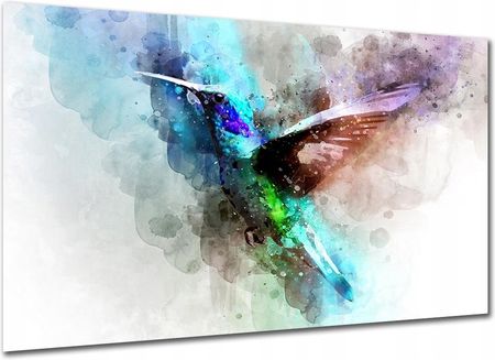 Aleobrazy Obraz Do Salonu Ptak P2 120x80cm Zwierzęta Koliber