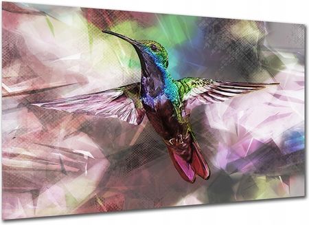 Aleobrazy Obraz Do Salonu Ptak P3 120x80cm Zwierzęta Koliber