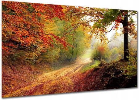 Aleobrazy Obraz Do Sypialni Las L5 120x80cm Jesienny Pejzaż