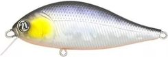 Zdjęcie Pontoon21 Bet A Shad 83Sp Sr A11 - Skępe