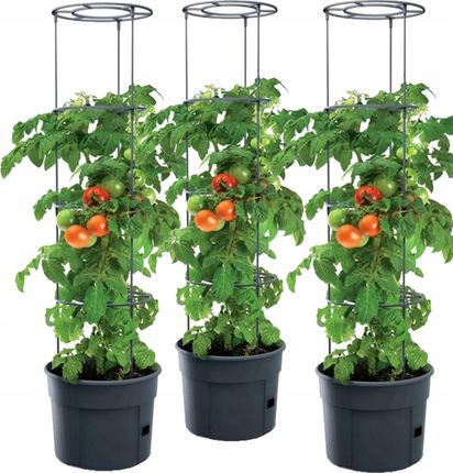 Prosperplast 3X Doniczka Na Pomidory Donica Do Uprawy Pomidorów Tomato Grower Ipom300 Apd753620