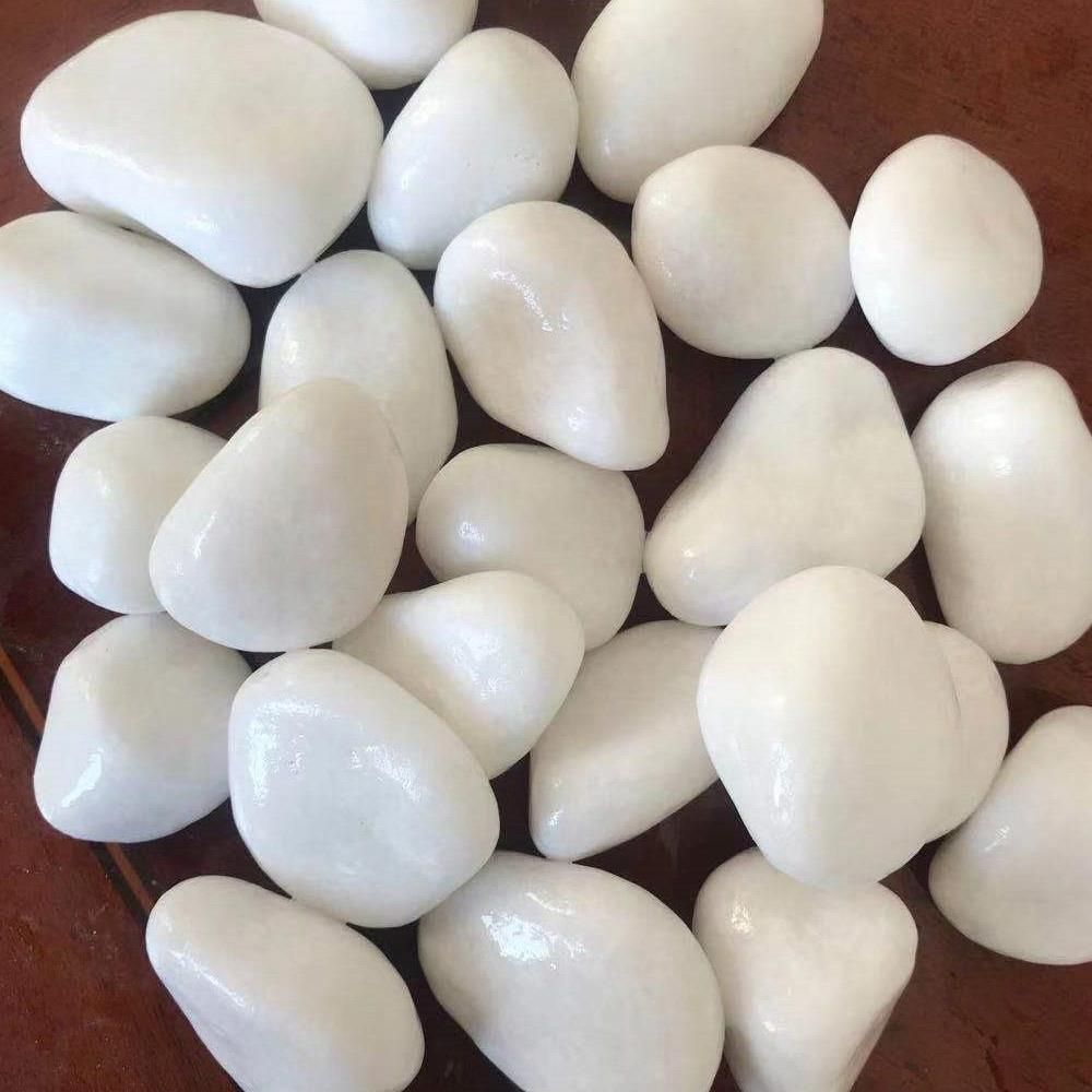 kamie-bia-y-polerowany-do-ogrodu-domu-20kg-1-2cm-ceny-i-opinie