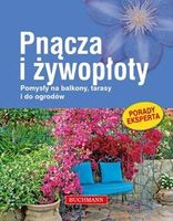 Zdjęcie PNĄCzA I ŻYWOPŁOTY - Rzeszów