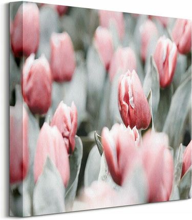 Pyramid International Różowe tulipany Kwiaty obraz na płótnie 404x40 cm (CKS4424)