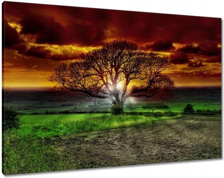 Zesmakiem Obrazy 100x70 Magiczne drzewo krajobraz (H23M_PC1Z_100X70CM)