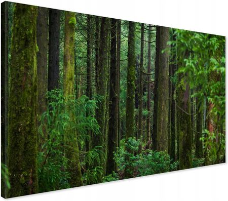 Printedwall Obraz na płótnie las drzewa Nowoczesny na ścianę 70x50 
