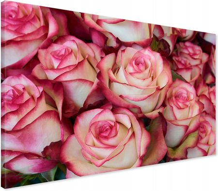 Printedwall Obraz na płótnie kwiaty róże Nowoczesny na ścianę 70x50 