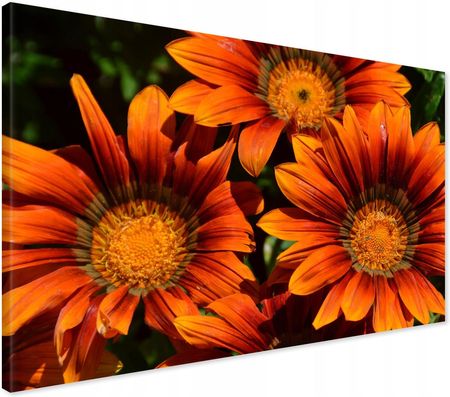 Printedwall Obraz na płótnie kwiat kwiaty Nowoczesny na ścianę 100x70 