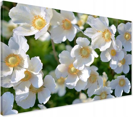 Printedwall Obraz na płótnie kwiat kwiaty Nowoczesny na ścianę 100x70 