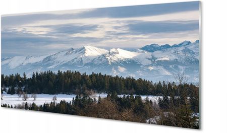 Tulup Zdjęcie obraz na szkle Góry zima śnieg 100x50 cm 