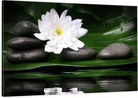 Eobraz Obraz Na Płótnie 120x80 Kamienie Zen Kwiat Spa