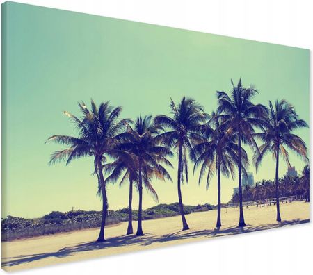 Printedwall Obraz na płótnie palmy plaża Nowoczesny na ścianę 70x50 
