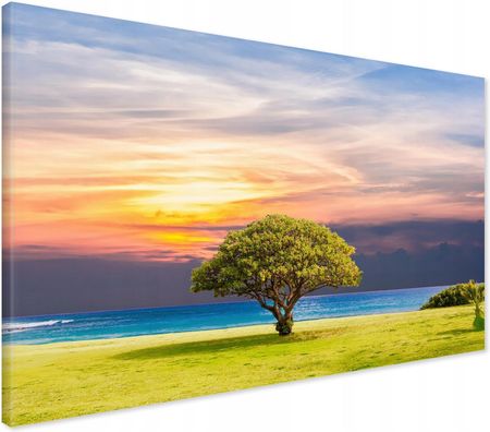 Printedwall Obraz na płótnie drzewo morze trawa Nowoczesny na ścianę 70x50 