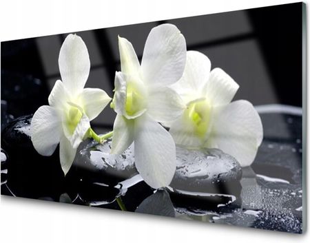 Tulup Obraz na Szkle Kwiat Storczyk Biały 100x50 