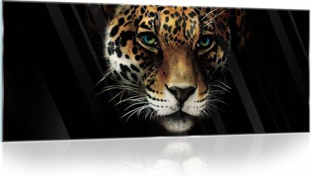 Wallarena Obraz na szkle szklany Zwierzęta gepard 3D 125x50 (CAGT10071G6)