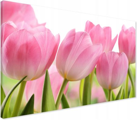 Printedwall Obraz na płótnie kwiat Kwiaty Nowoczesny na ścianę 100x70 