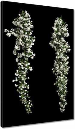Zesmakiem Obrazy 40x60 Białe kwiaty Bugenwilli (H9595Z_PC1F_40X60CM)