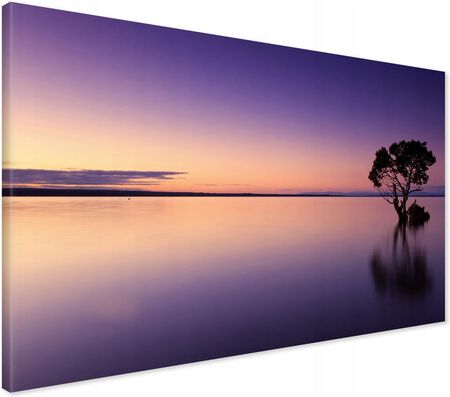 Printedwall Obraz na płótnie jezioro drzewo zachód Nowoczesny na ścianę 100x70 