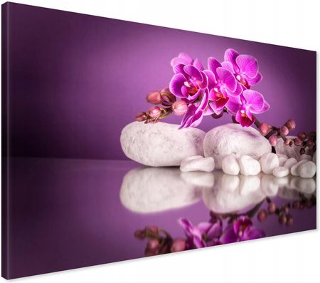 Printedwall Obraz na płótnie orchidea kwiat Spa Nowoczesny na ścianę 70x50 