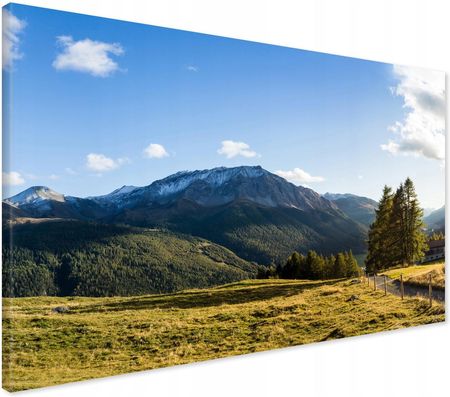 Printedwall Obraz na płótnie góry łąka Nowoczesny na ścianę 70x50 