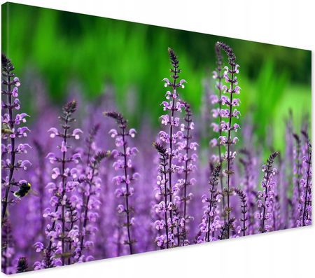 Printedwall Obraz na płótnie lawenda kwiaty Nowoczesny na ścianę 100x70 