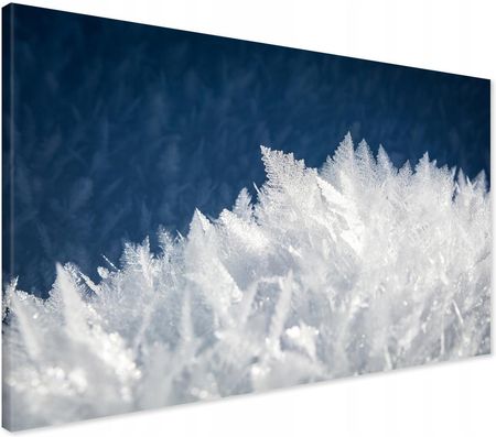 Printedwall Obraz na płótnie zima kryształki lodu Nowoczesny na ścianę 70x50 